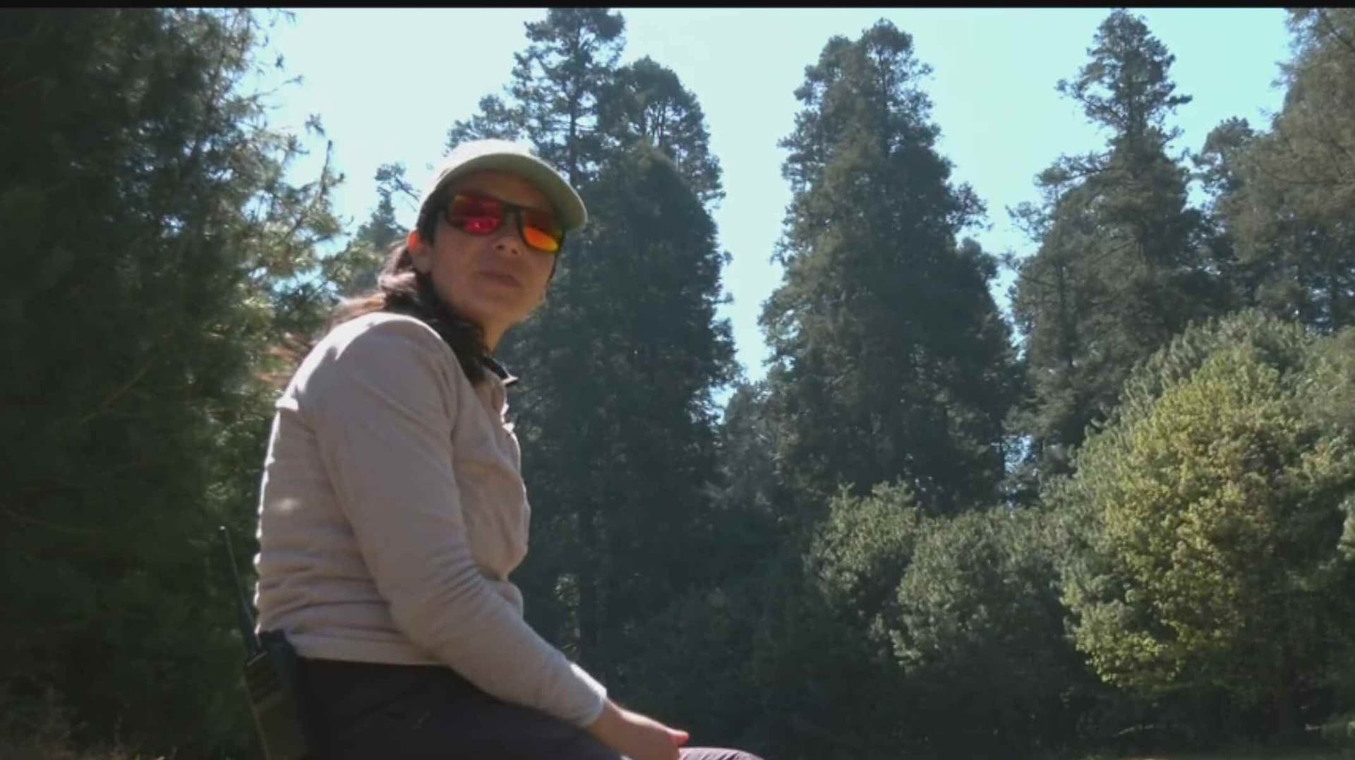 Marisol Tovar Valentines: Conoce a la Guardiana del Bosque de Los Dinamos: "Me Llena de Orgullo"