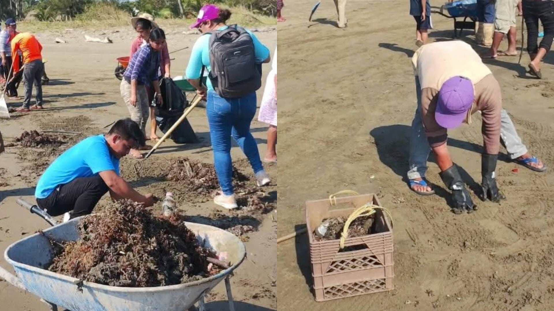 Ciudadanos Realizan Limpieza de Playas por Aparición de Hidrocarburo en Pajapan Veracruz