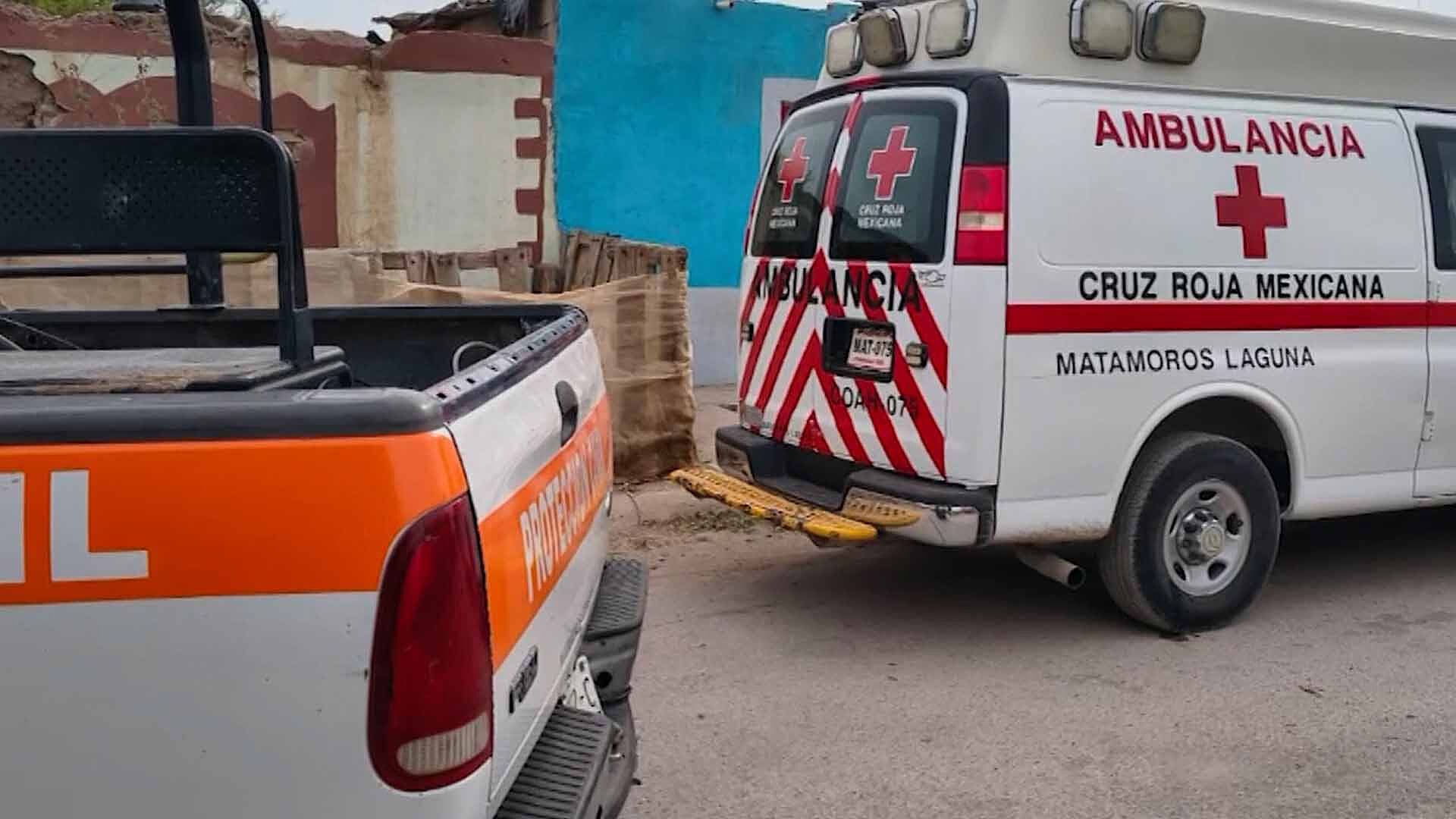 Ataque de Abejas Deja Cinco Personas Lesionadas en Viesca