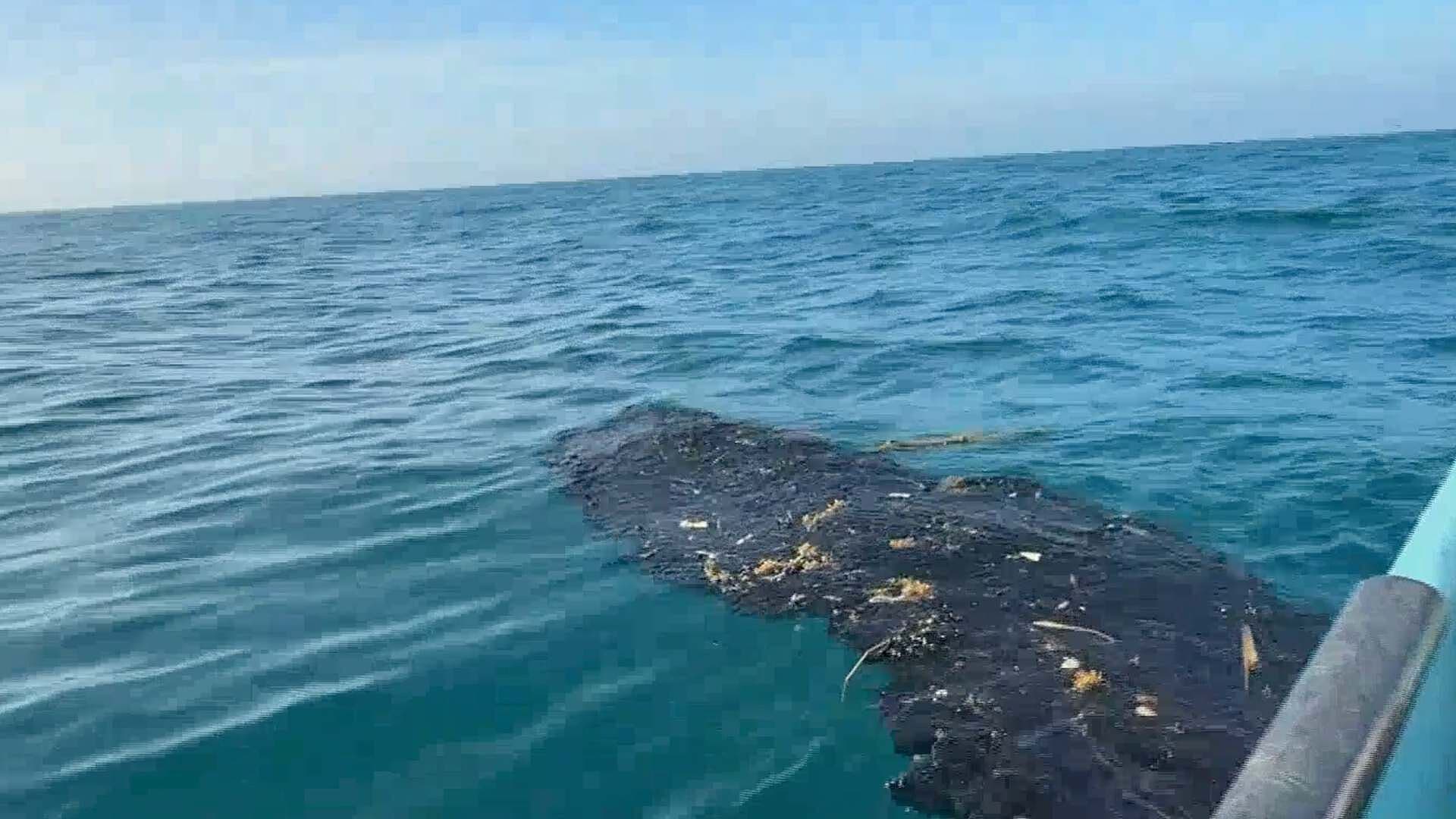 Temen que Sistema Arrecifal Veracruzano Sea Afectado por Presencia de Hidrocarburo