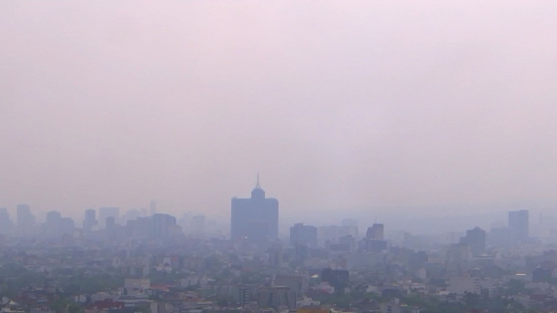 Continúa Fase 1 de la Contingencia Ambiental en el Valle de México, ¿Qué Vehículos No Circulan?