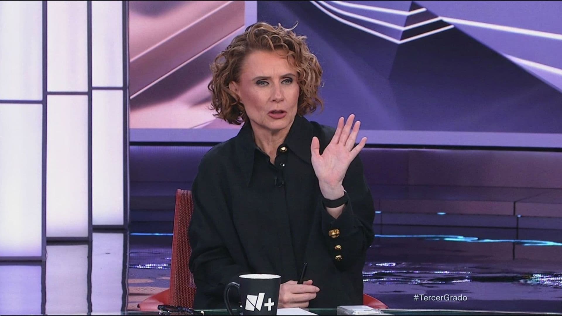 Denise Maerker Señala Que Reforma Electoral No Era Prioridad de la Presidenta