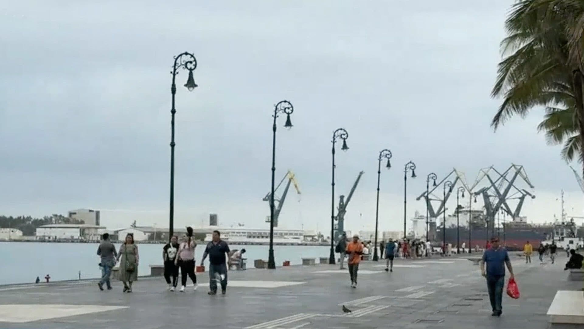 Video