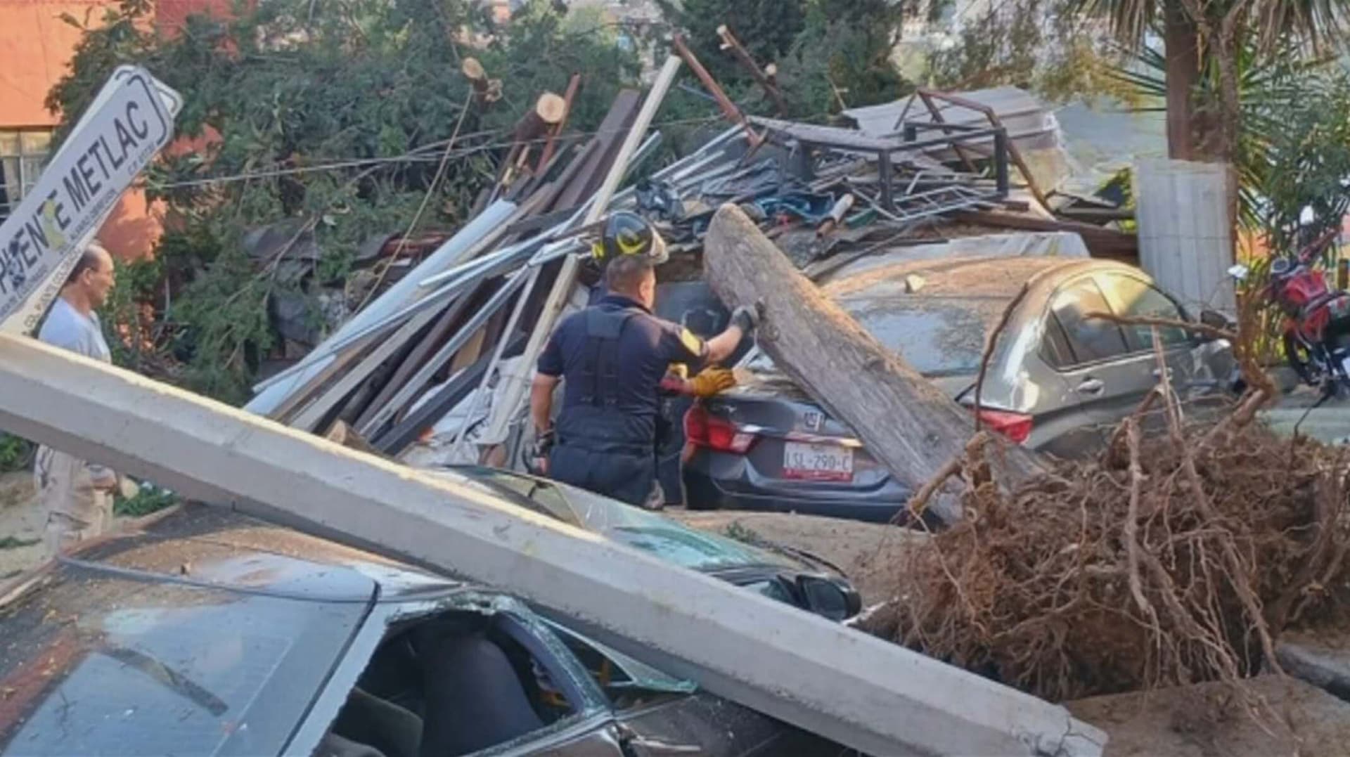 ¿Qué Hacer ante Caída de Árboles por Vientos en CDMX? Estas son las Alcaldías Más Afectadas