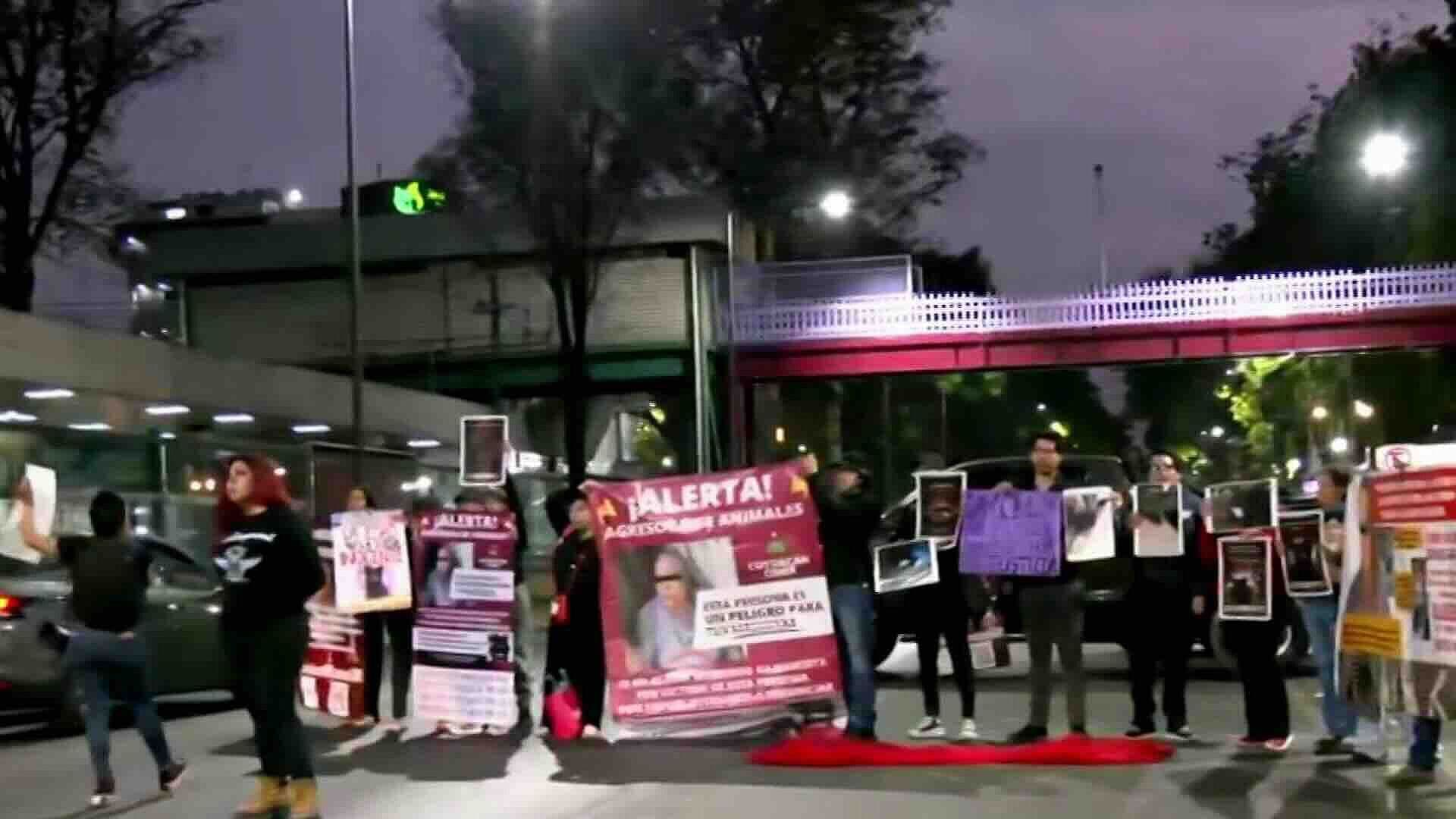 Manifestantes Bloquean Calzada de Tlalpan en Coyoacán por Maltrato Animal; Caos Vial