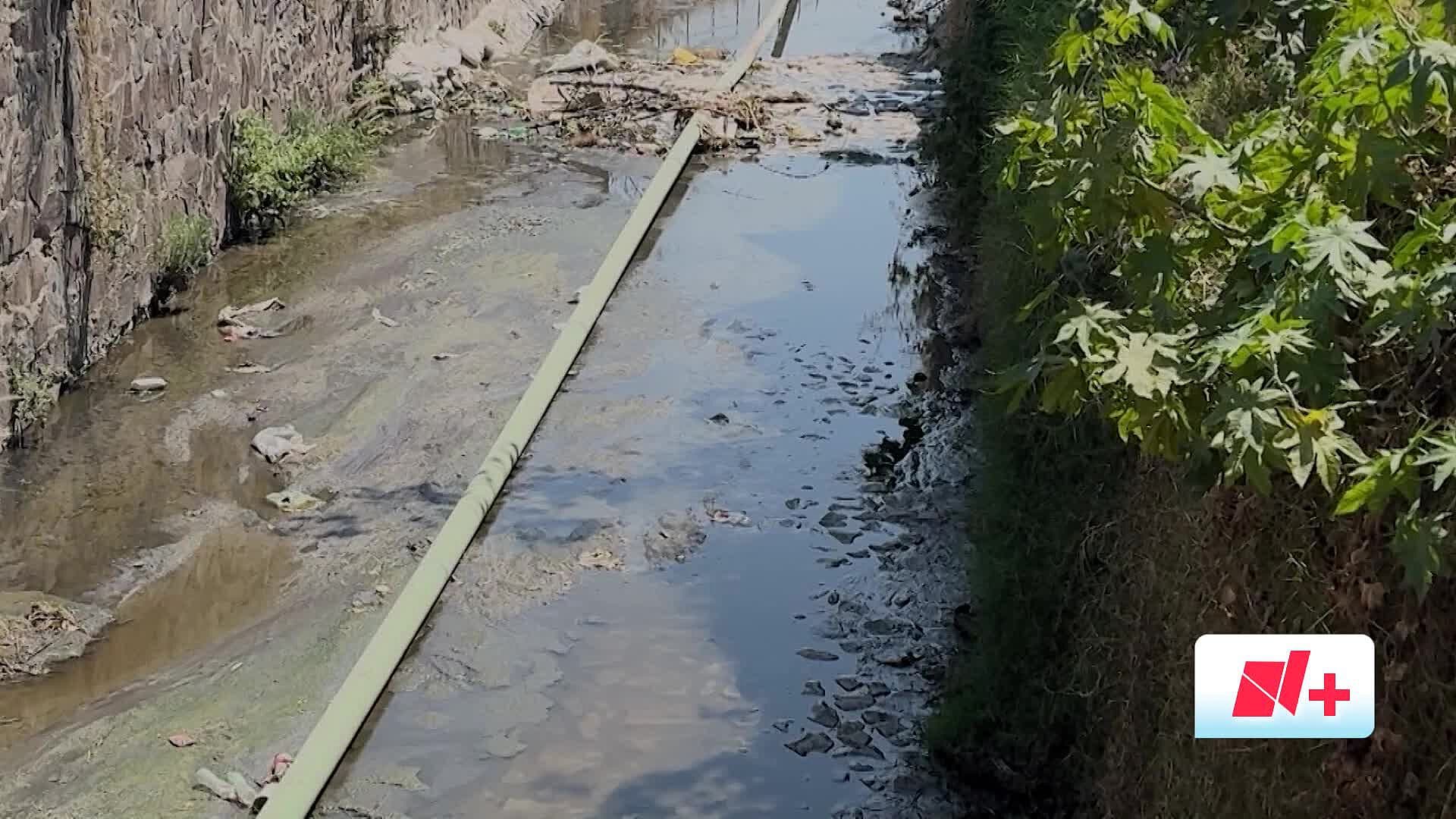 Vecinos de El Mante Denuncian Mal Olor y Aguas Residuales en el Arroyo Seco