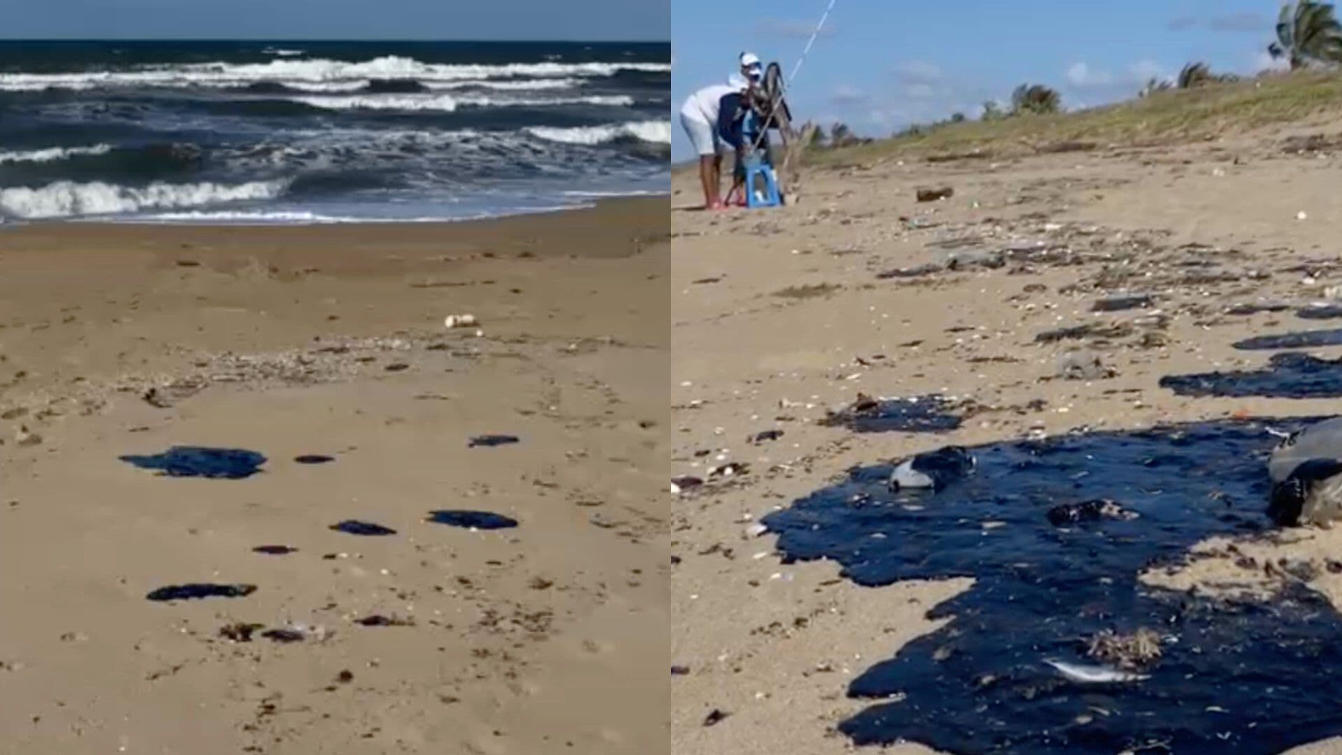 Arriban Manchas de Hidrocarburo a Villa Allende y Rabón Grande en el Sur de Veracruz