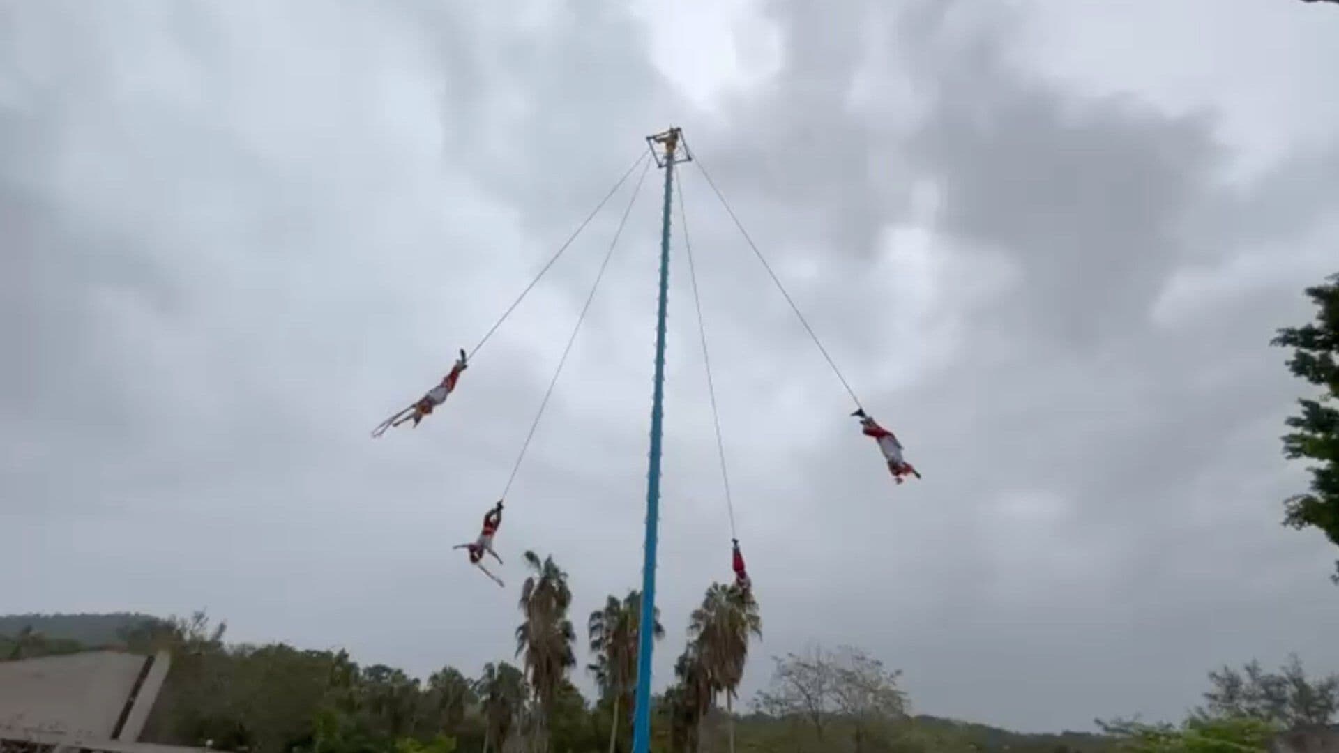 Voladores de Papantla; Ritual Veracruzano que Trasciende Entre Generaciones