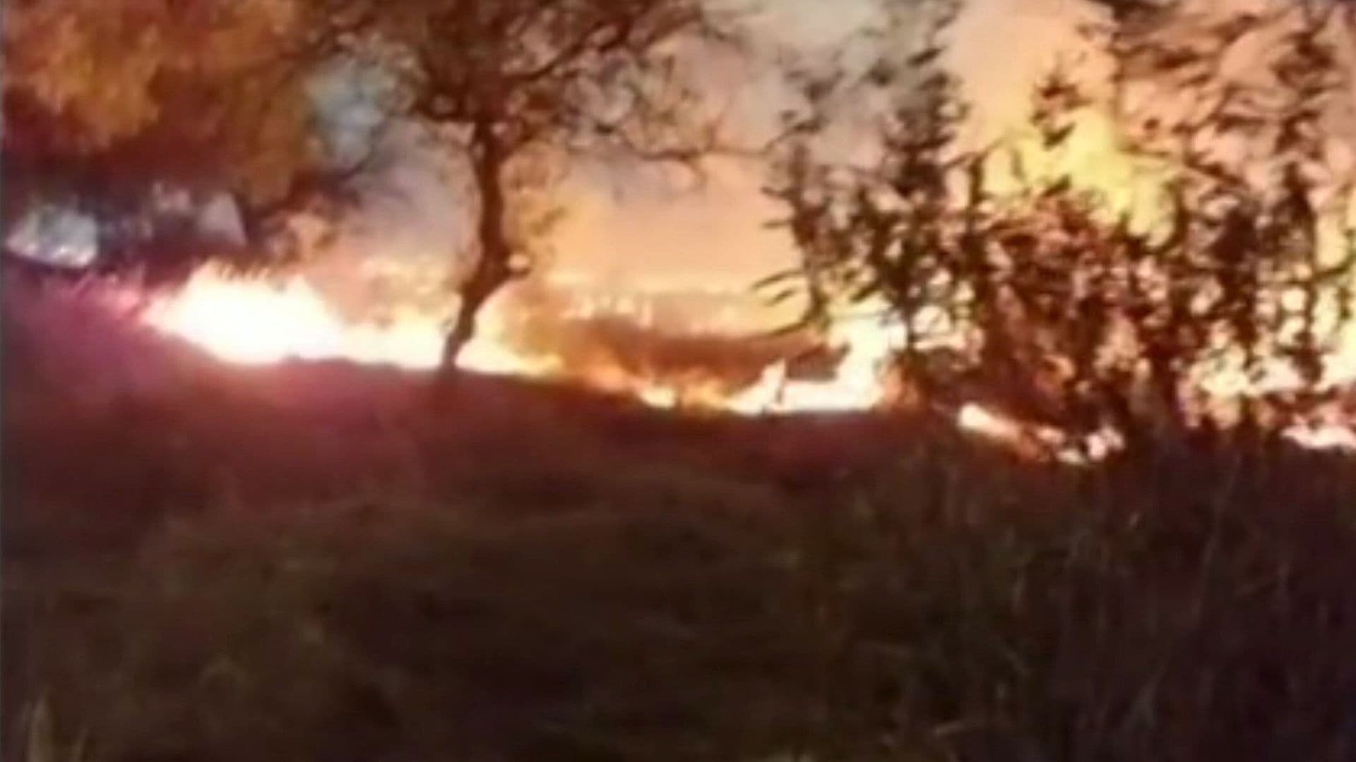 ¿Qué Pasa en Santa Fe? Incendio Arrasa con Pastizales en la Alcaldía Álvaro Obregón, CDMX