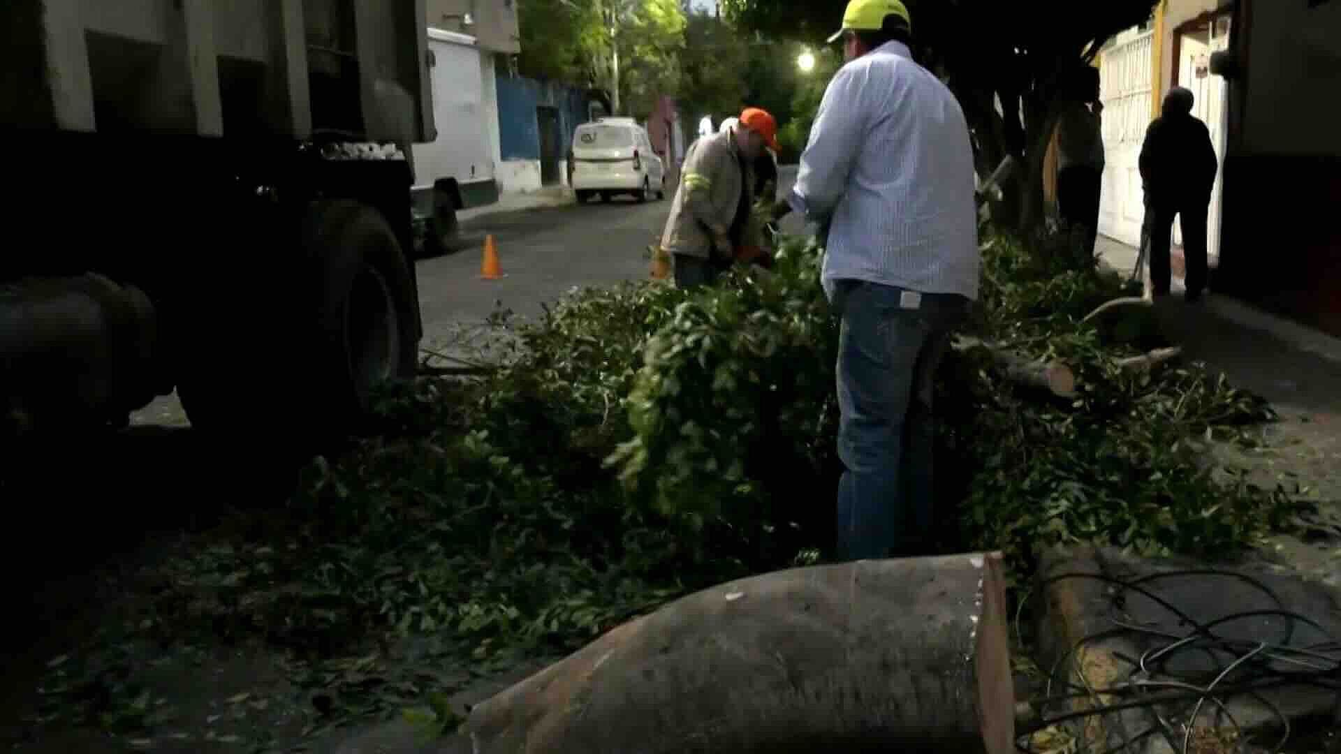 Fuertes Vientos Derriban Árbol y Dañan Dos Vehículos y Cableado en Norte 82, GAM, CDMX