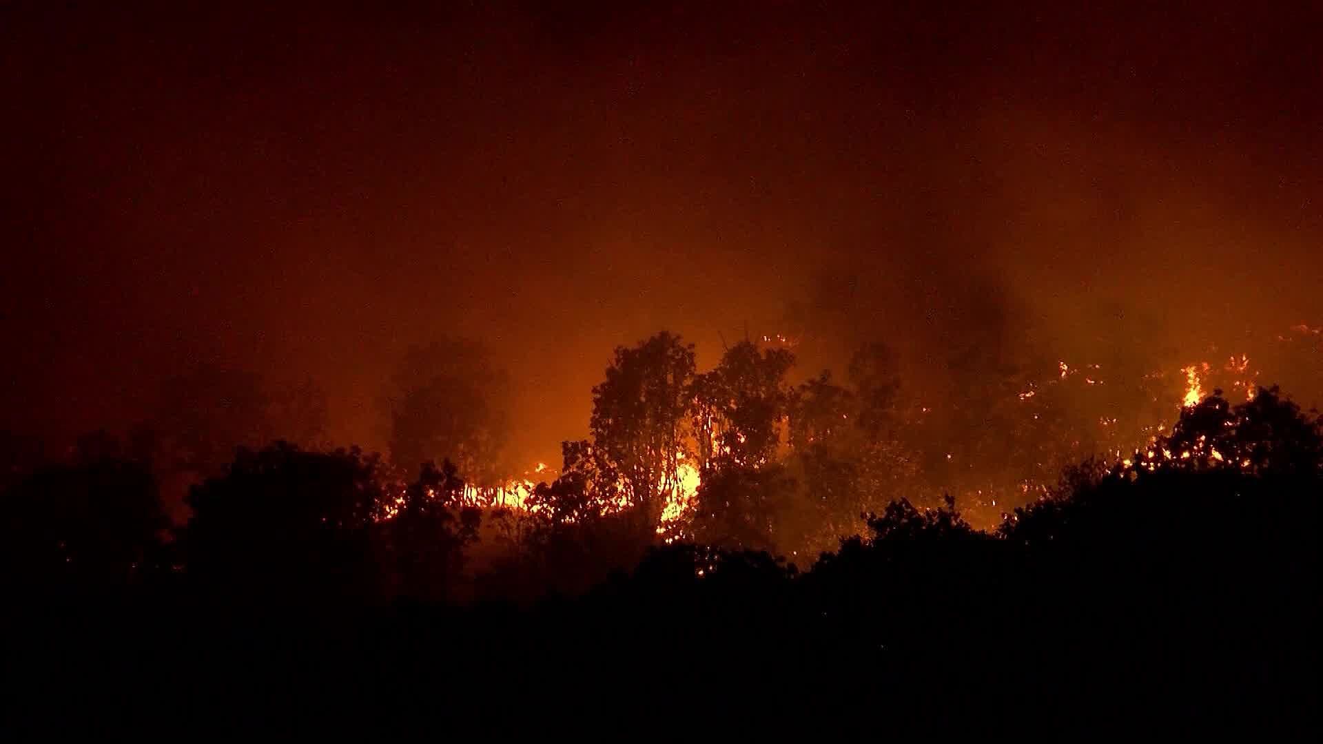 En Temporada de Estiaje, El Bosque La Primavera y el Cerro de Tequila son Vulnerables a Incendio