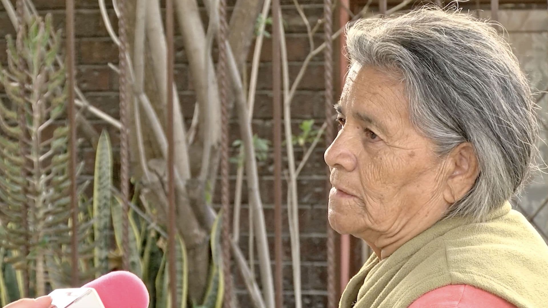 Vecinos de la Colonia Luis Echeverría Tienen más de 40 Horas sin Luz