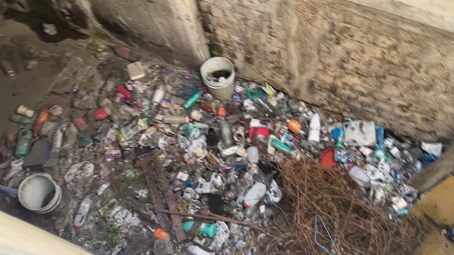 Piden a las Autoridades Limpiar Finca donde Localizaron Restos de 50 Perros en Tala, Jalisco