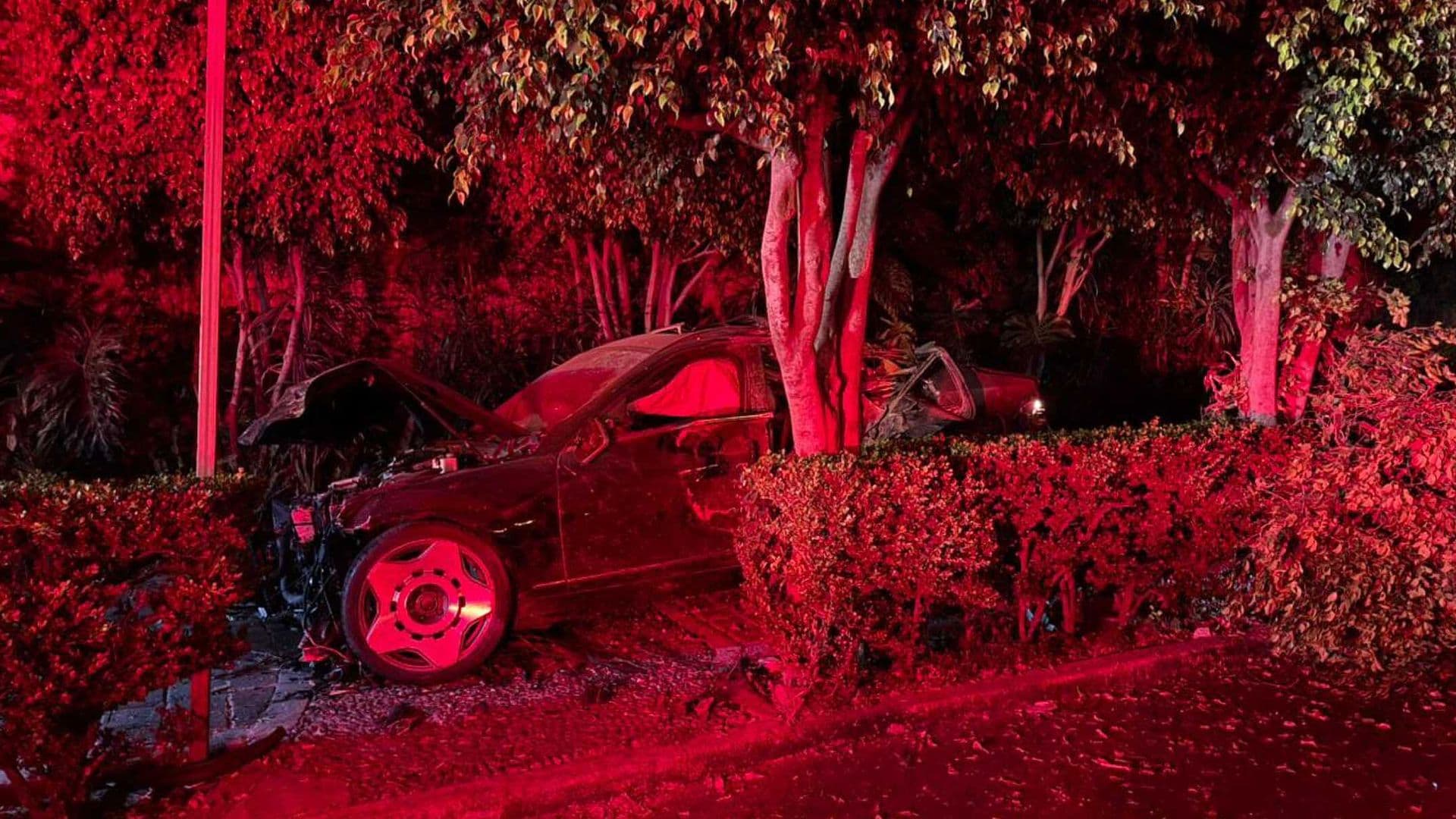 Auto Choca y Derriba Árboles y Postes en Insurgentes Sur, CDMX