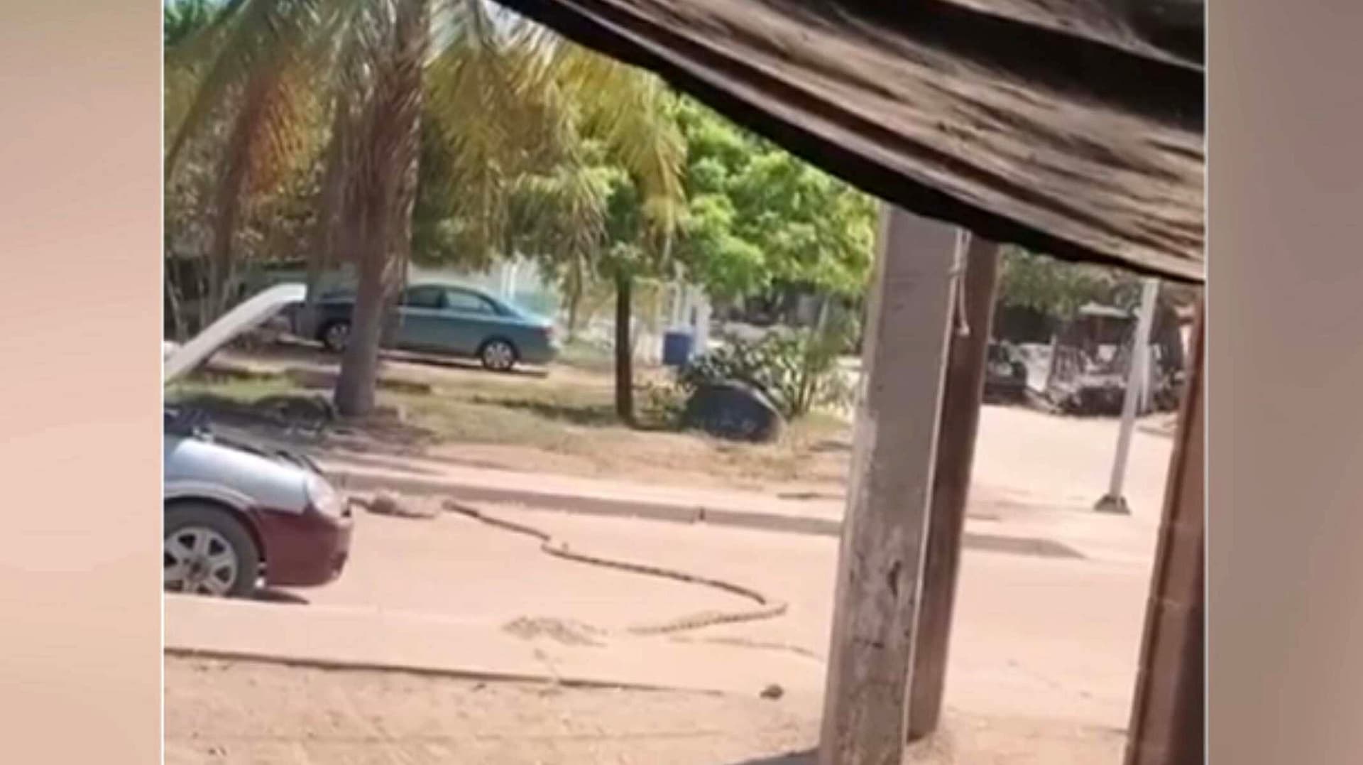 Enfrentamiento Hoy Desata Pánico en Navolato: Así Se Oyen Ráfagas en Campo Pesquero de Dautillos