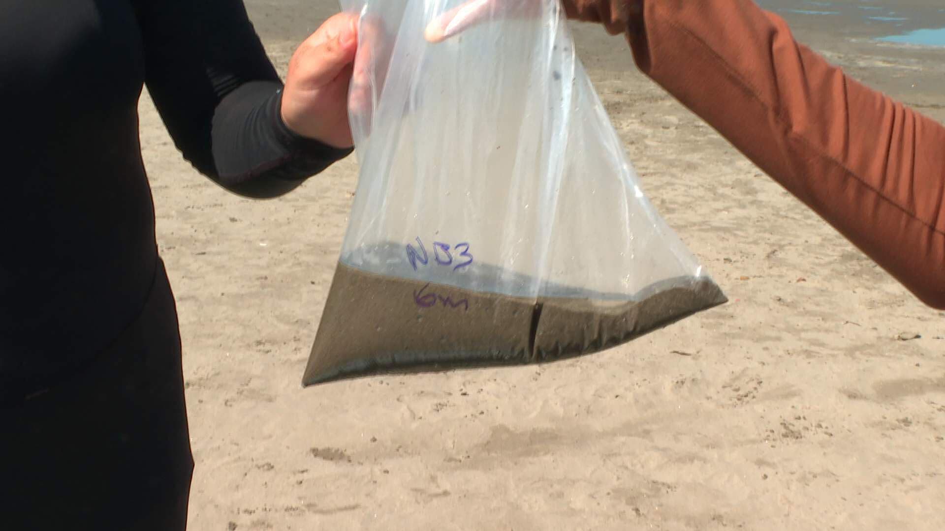 Estudiantes de la UNAM Recogen Muestras de Microorganismos en Playa de Veracruz tras Derrame