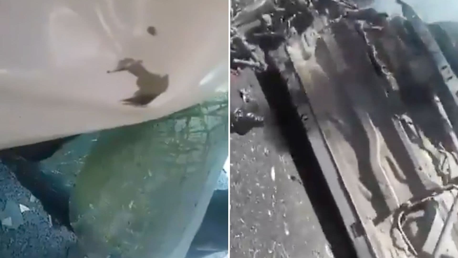 Se Registra Fuerte Accidente en la Carretera México-Pirámides; Habría Personas Fallecidas