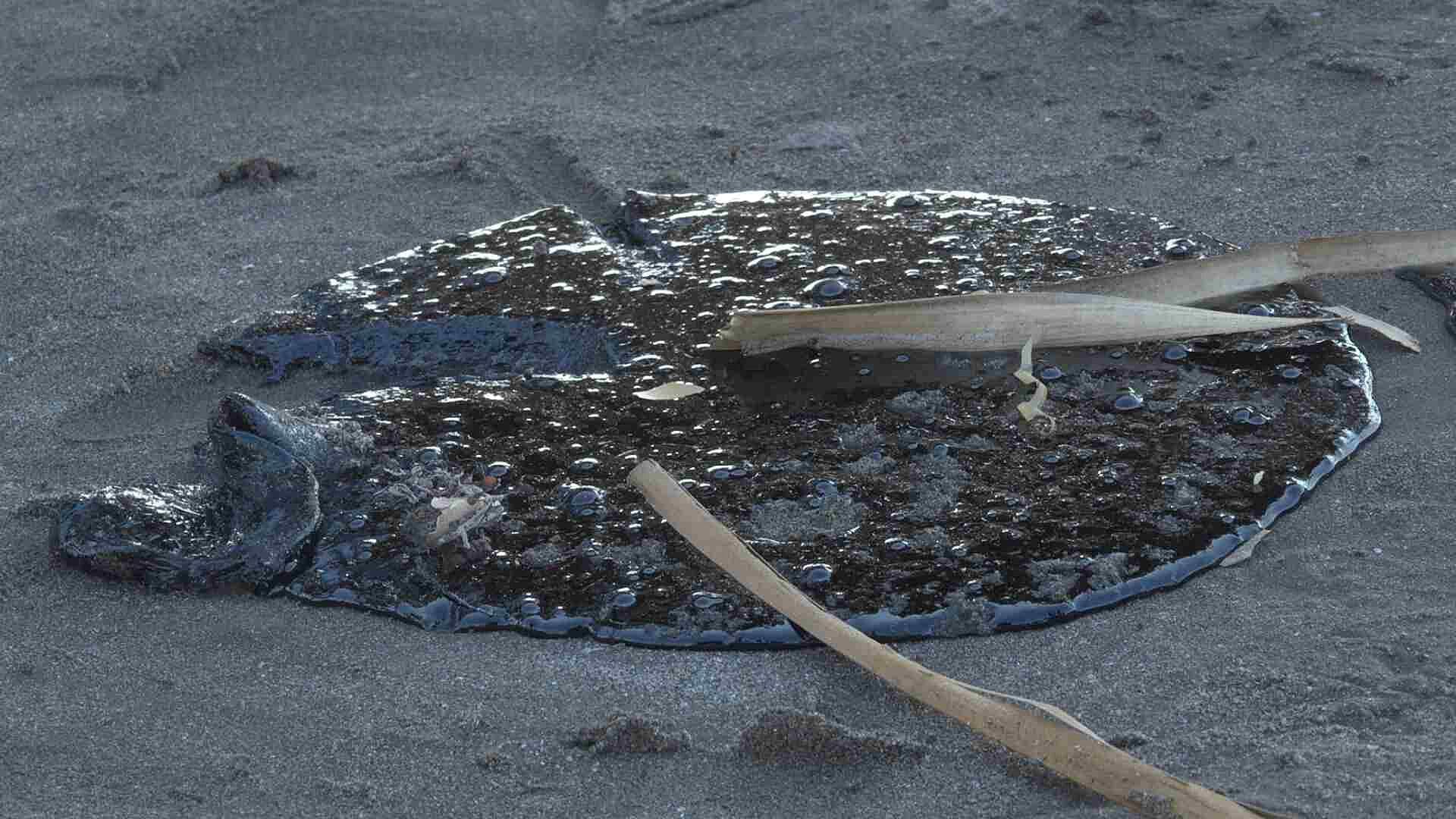 A Días de Semana Santa Siguen Llegando Restos de Hidrocarburo a Playas de Alvarado, Veracruz