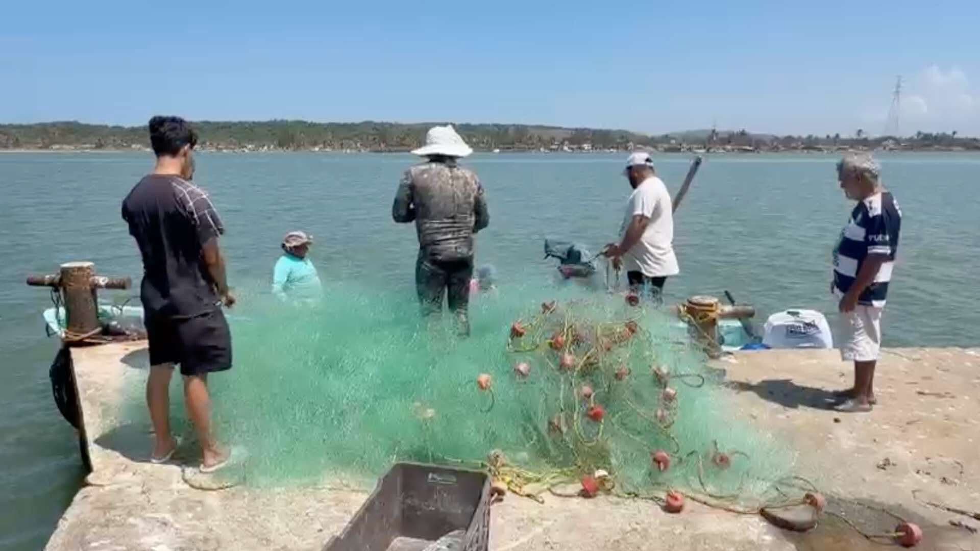 Pescadores de Alvarado Reanudan Actividades de Captura tras Derrame de Hidrocarburo en Veracruz
