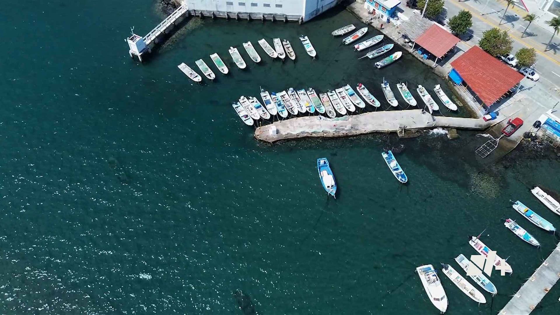 Pescadores Tratan de Volver a la Actividad tras Derrame de Hidrocarburo en el Golfo de México