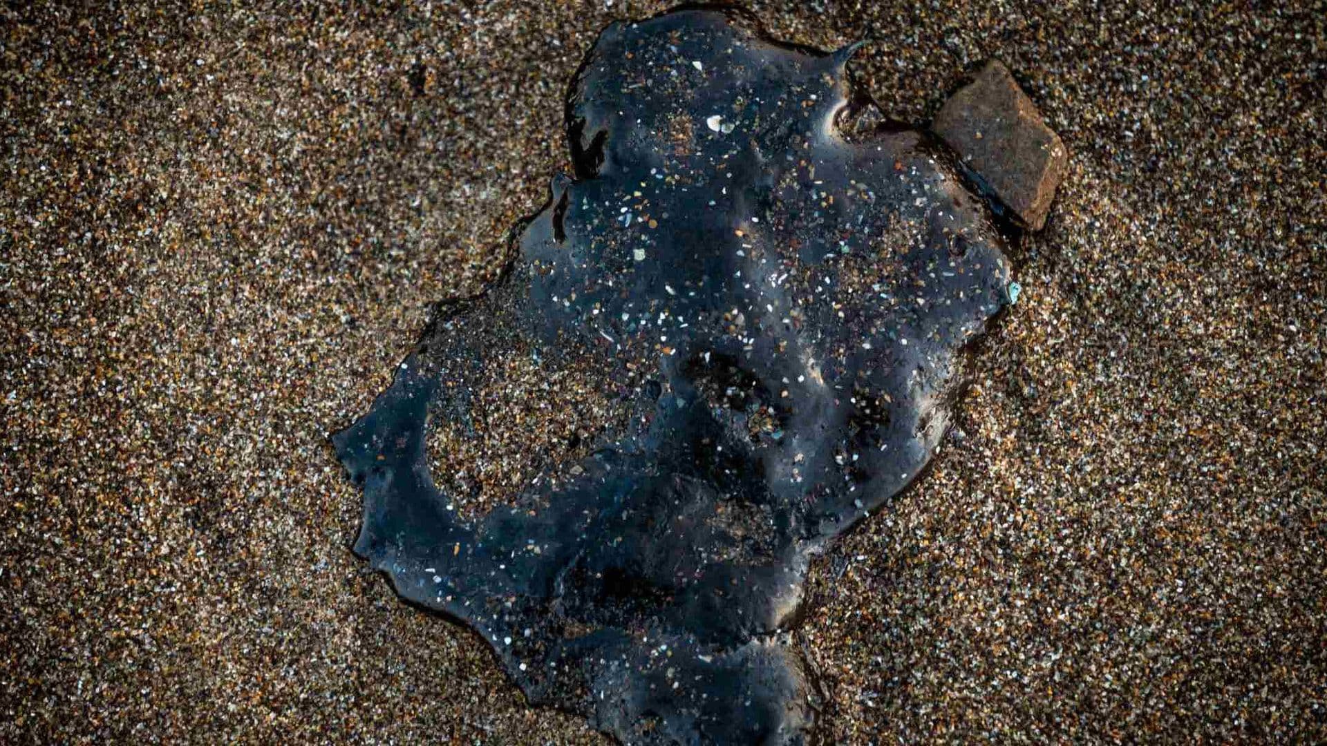 Derrame de Hidrocarburo en Golfo de México: Así el Reporte del Grupo Interinstitucional