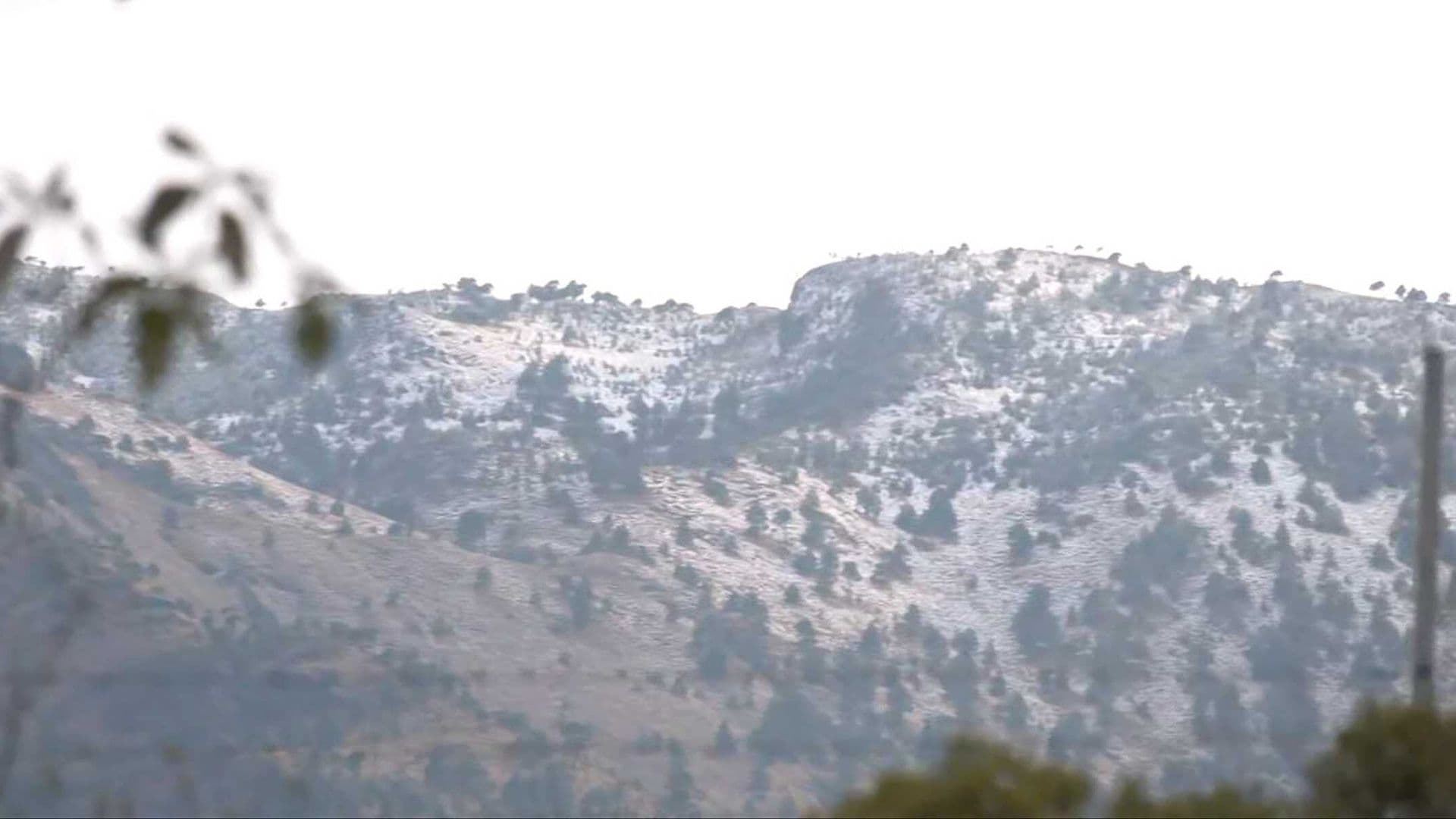 Así Amaneció el Ajusco Hoy: Cae Nieve en Plena Primavera