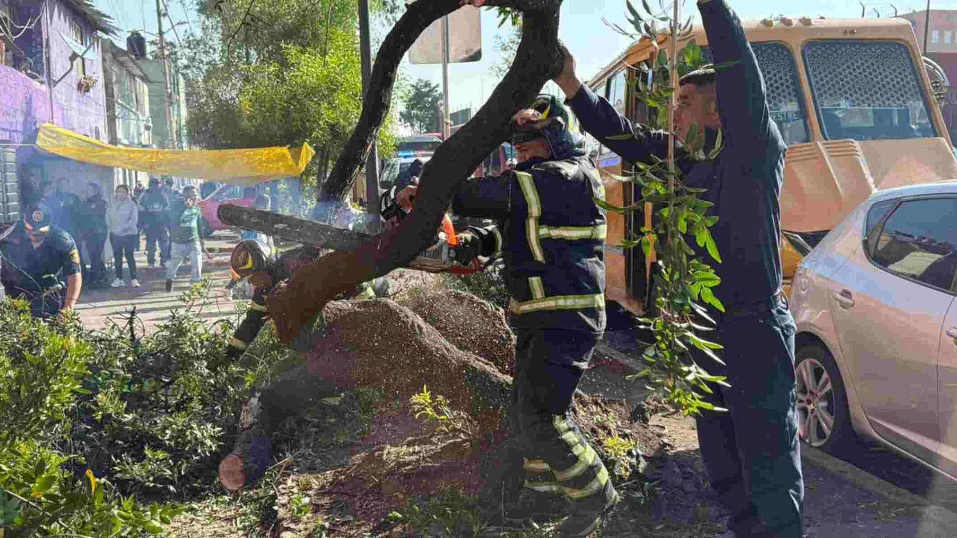 Microbús Choca contra Árbol en Martín Carrera, CDMX; Hay 2 Lesionados