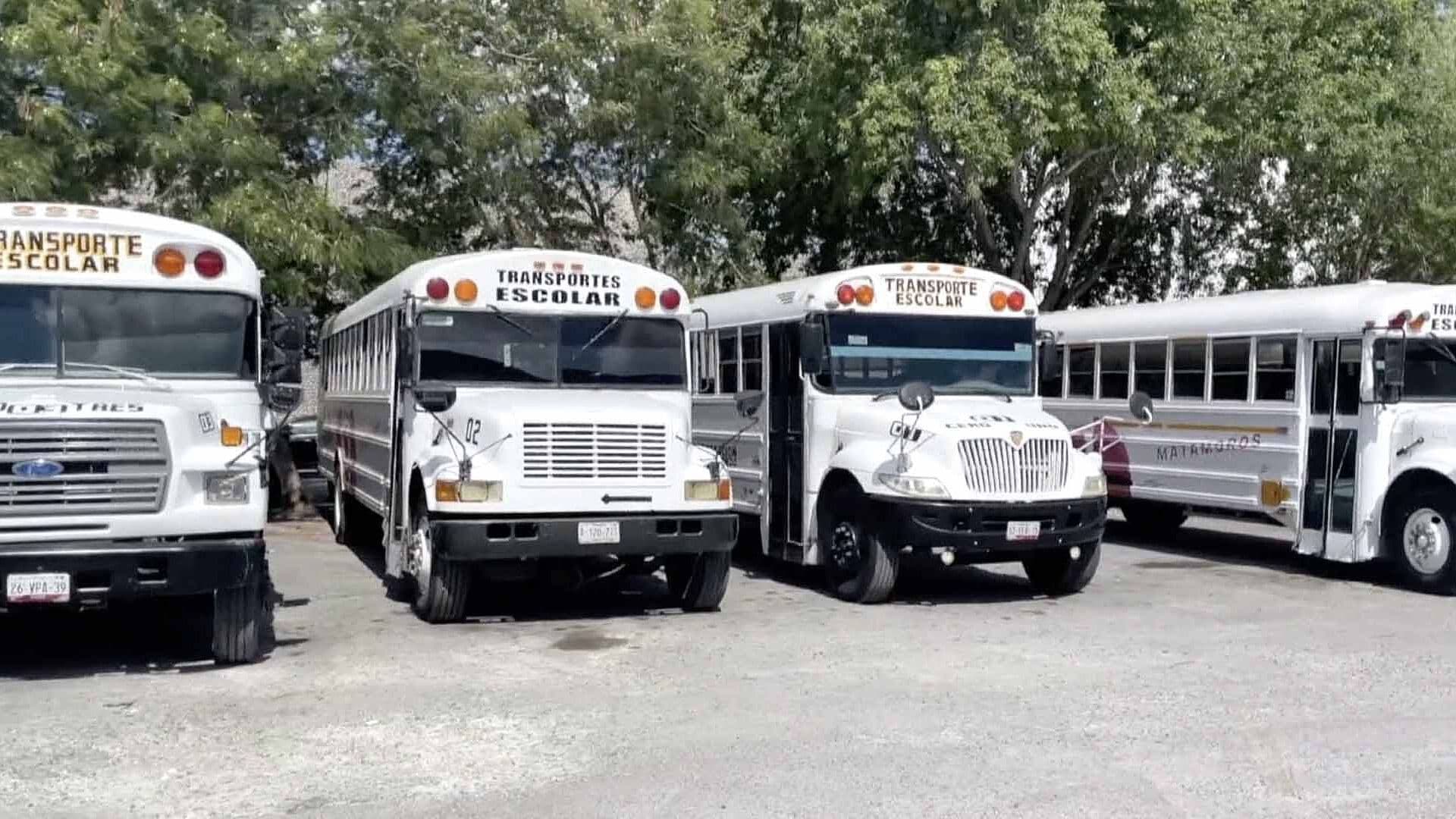 Habilitan Transporte Gratis por Festival del Mar 2026 en Playa Bagdad