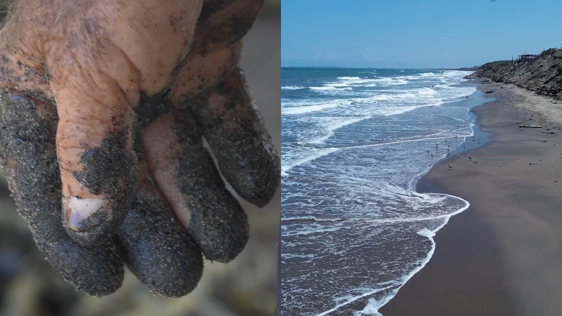 Red Corredor Arrecifal Reporta 933 Kilómetros de Litoral Afectado por Derrame en el Golfo
