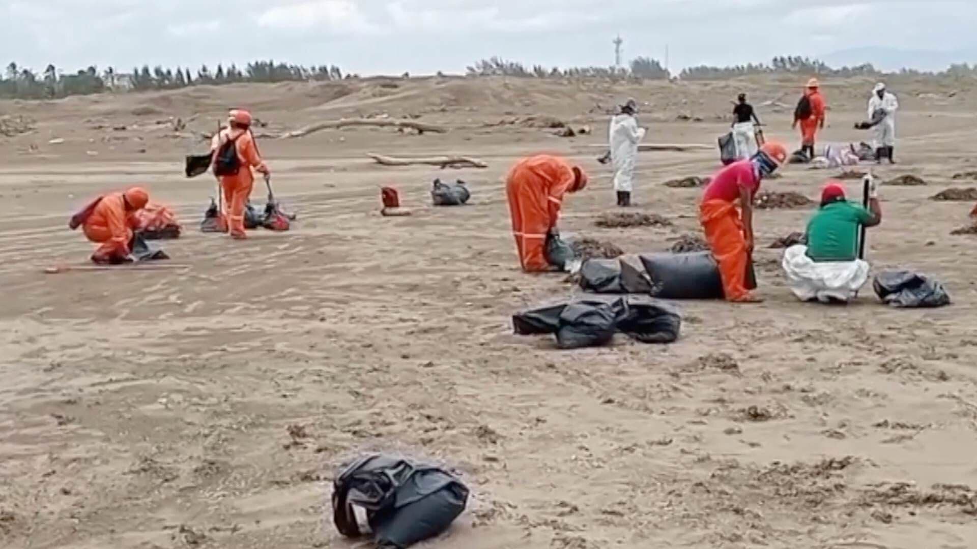 Pescadores y Vendedores de Mariscos Reportan Pérdidas en Las Barrillas tras Hidrocarburo