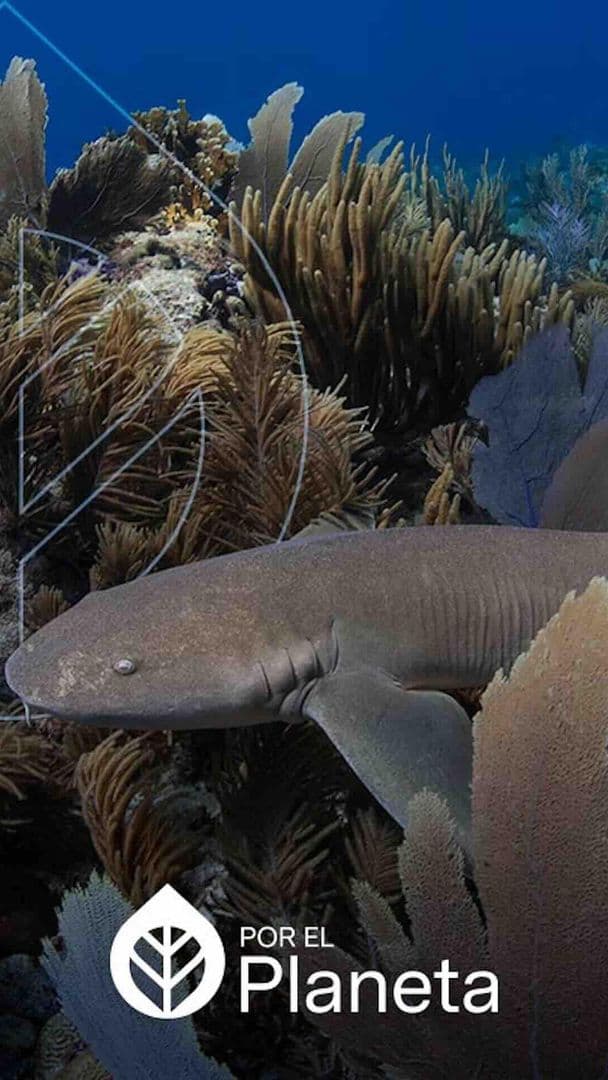 Foto | El Tesoro de Alacranes