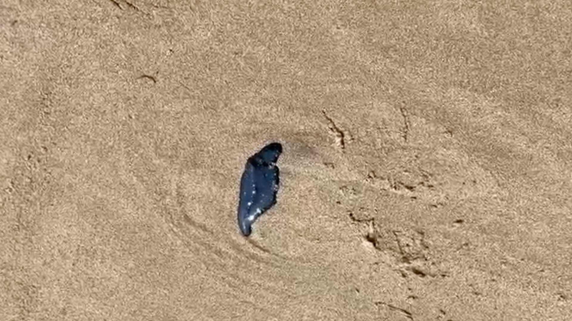 Continúa Presencia de Hidrocarburo en Playa de Coatzacoalcos