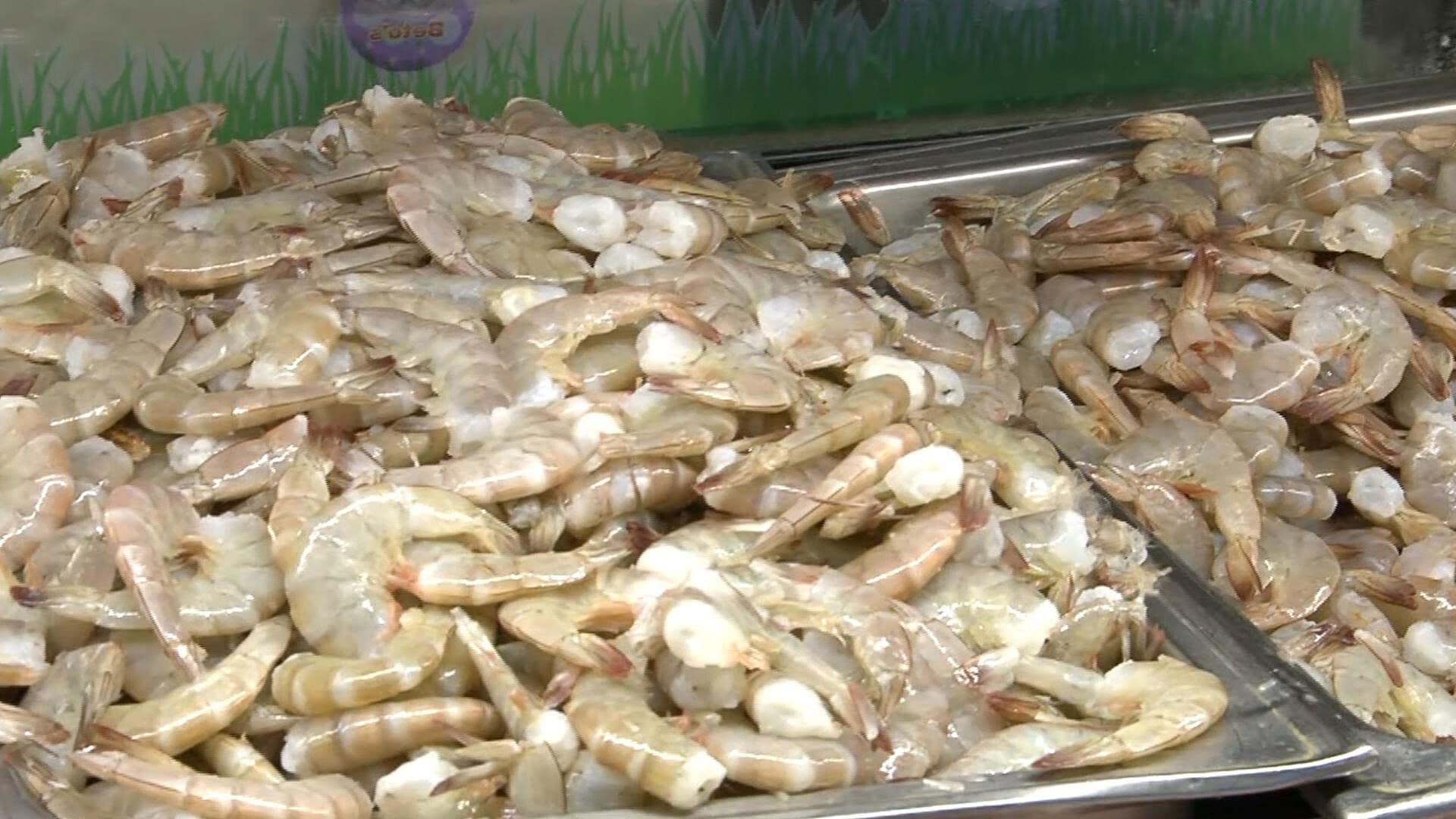 ¿Cuáles son las Recomendaciones para Comprar Pescado y Mariscos en Semana Santa en BC?