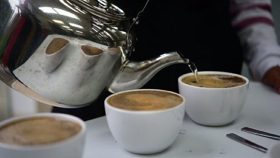 La Preparación de un Buen Café de Teocelo, en Veracruz
