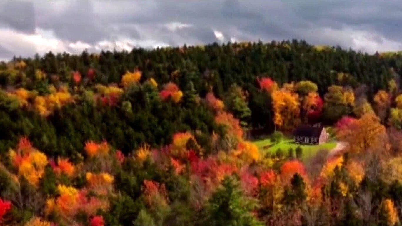 Colores de Otoño Invaden el Sur de Vermont, EUA