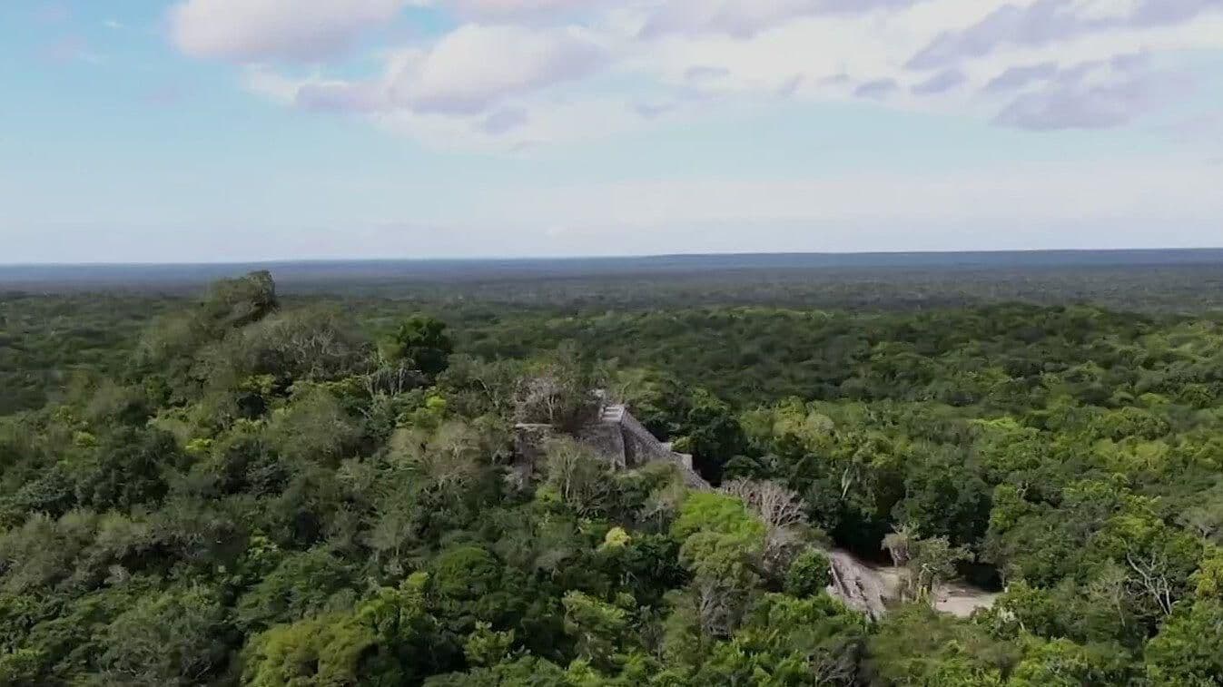 Vámonos De Pata de Perro a Calakmul, en Campeche