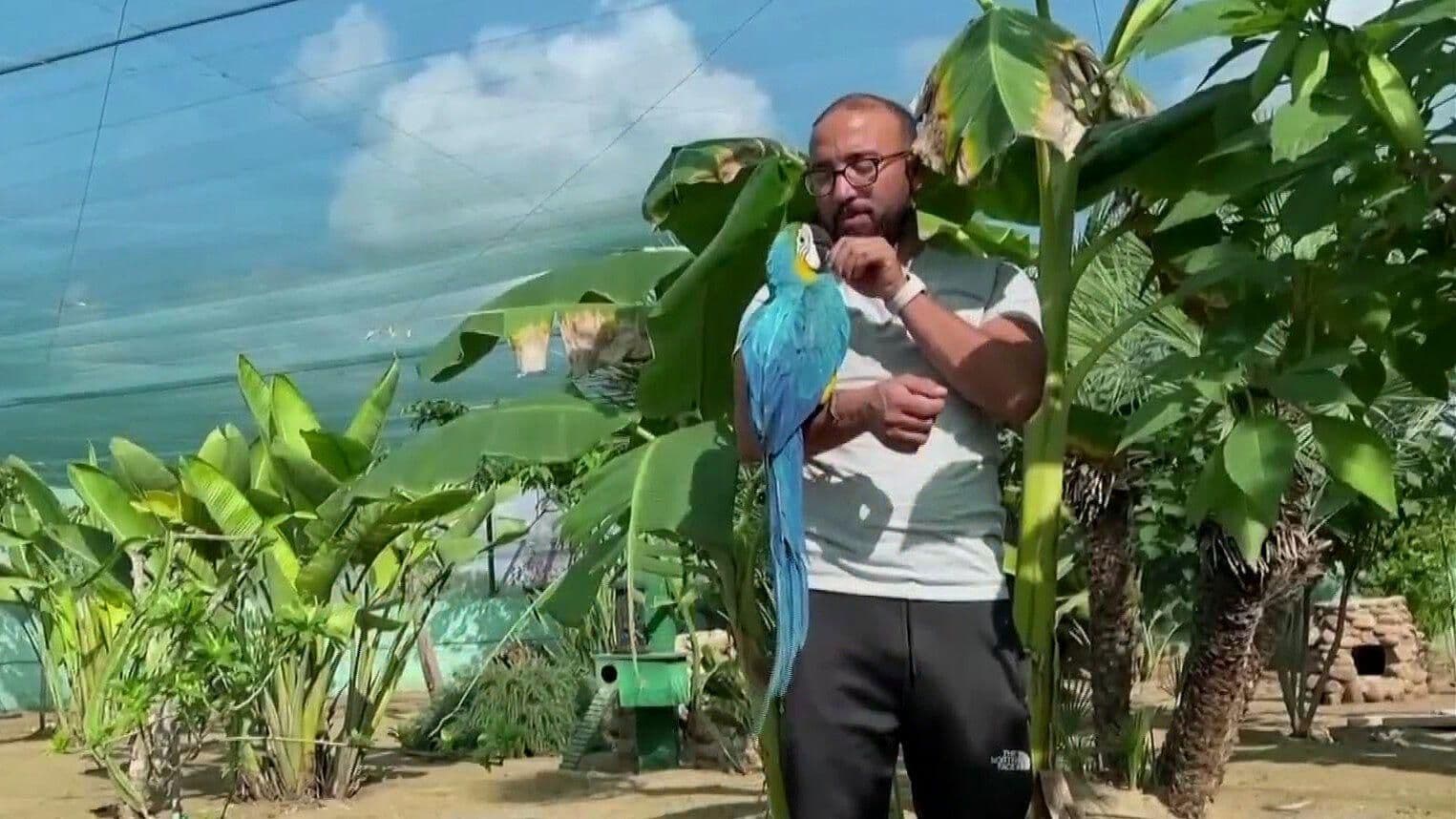"Granja Maravillosa" de Aves Extrañas Sorprende a Túnez
