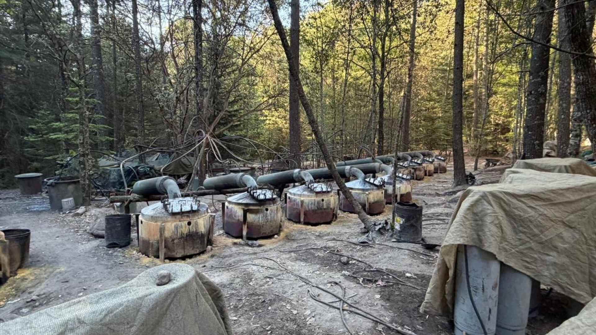 ¿Qué Opinan los Chihuahuenses Ante Presunta Presencia de Agentes Extranjeros en la Sierra?
