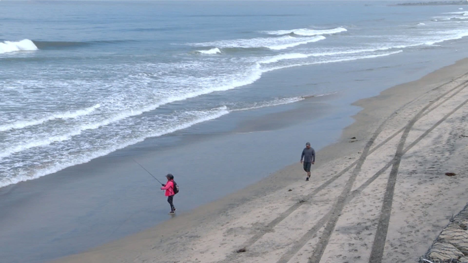 Registran Casos de Picaduras de Raya en Playas de Tijuana este 2026