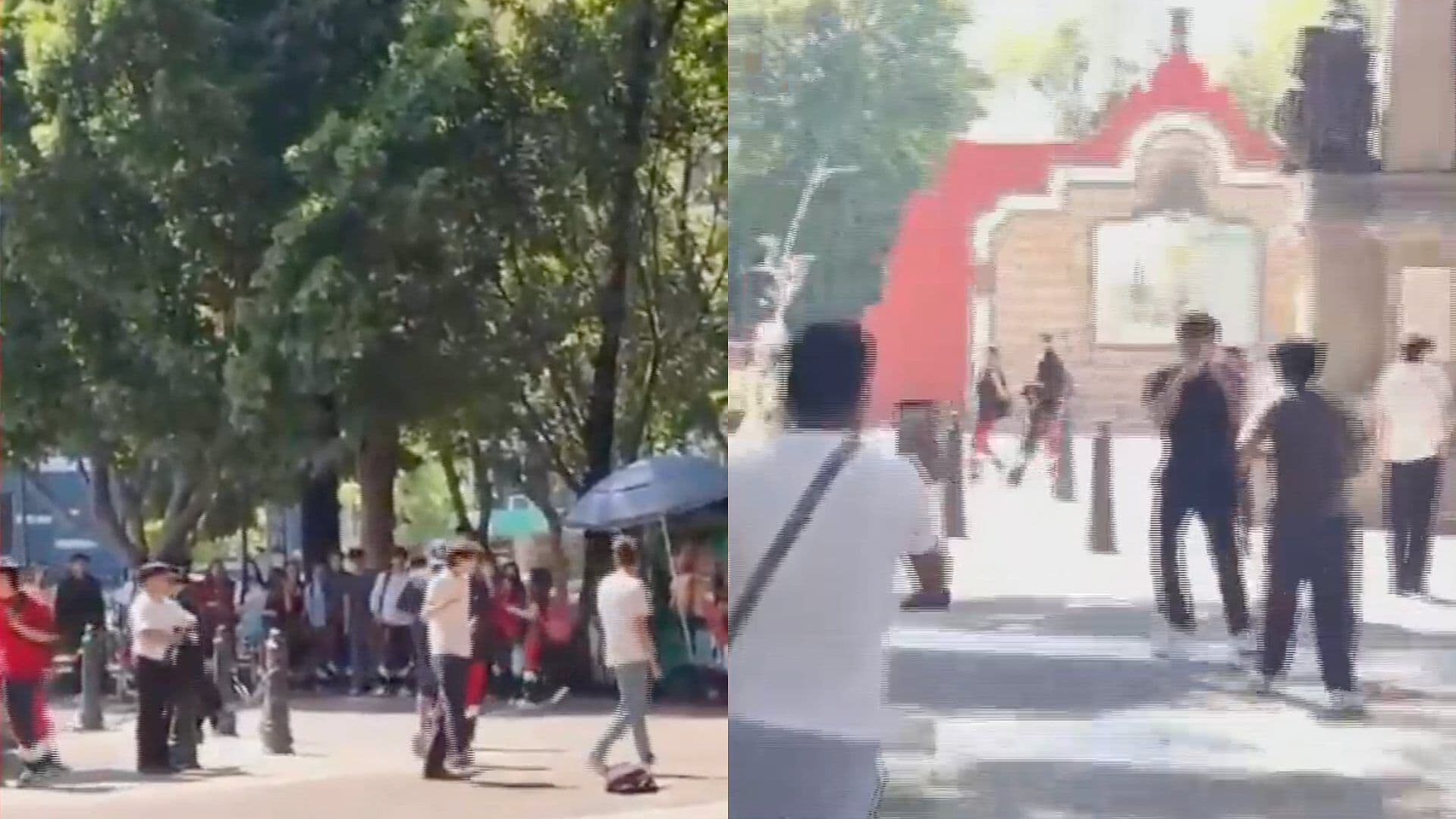 Video Pelea Riña Dos Adolescentes Estudiantes Paseo Bravo Centro Histórico