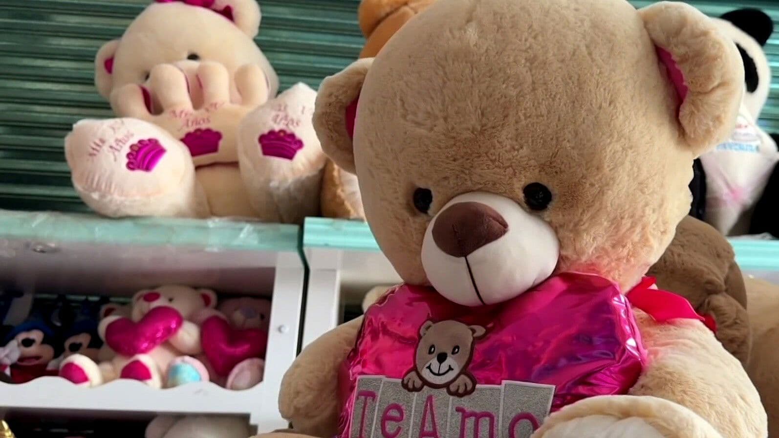 Xonacatlán, la ‘Ciudad del Peluche’ Ubicada en Edomex y Reconocida a Nivel Mundial