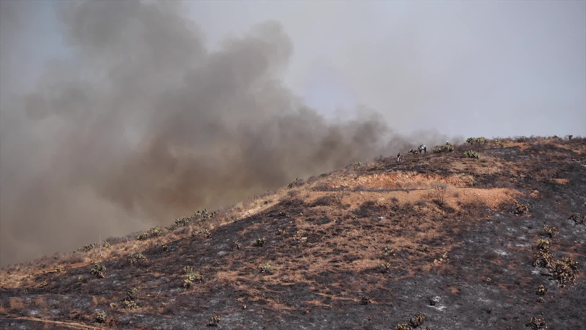 Incendio Forestal en Villa de Cos Ha Consumido más de Mil Hectáreas