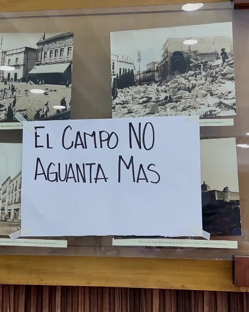 Crisis del Frijol en Zacatecas: 90% de Productores Sigue Sin Poder Entregar su Cosecha
