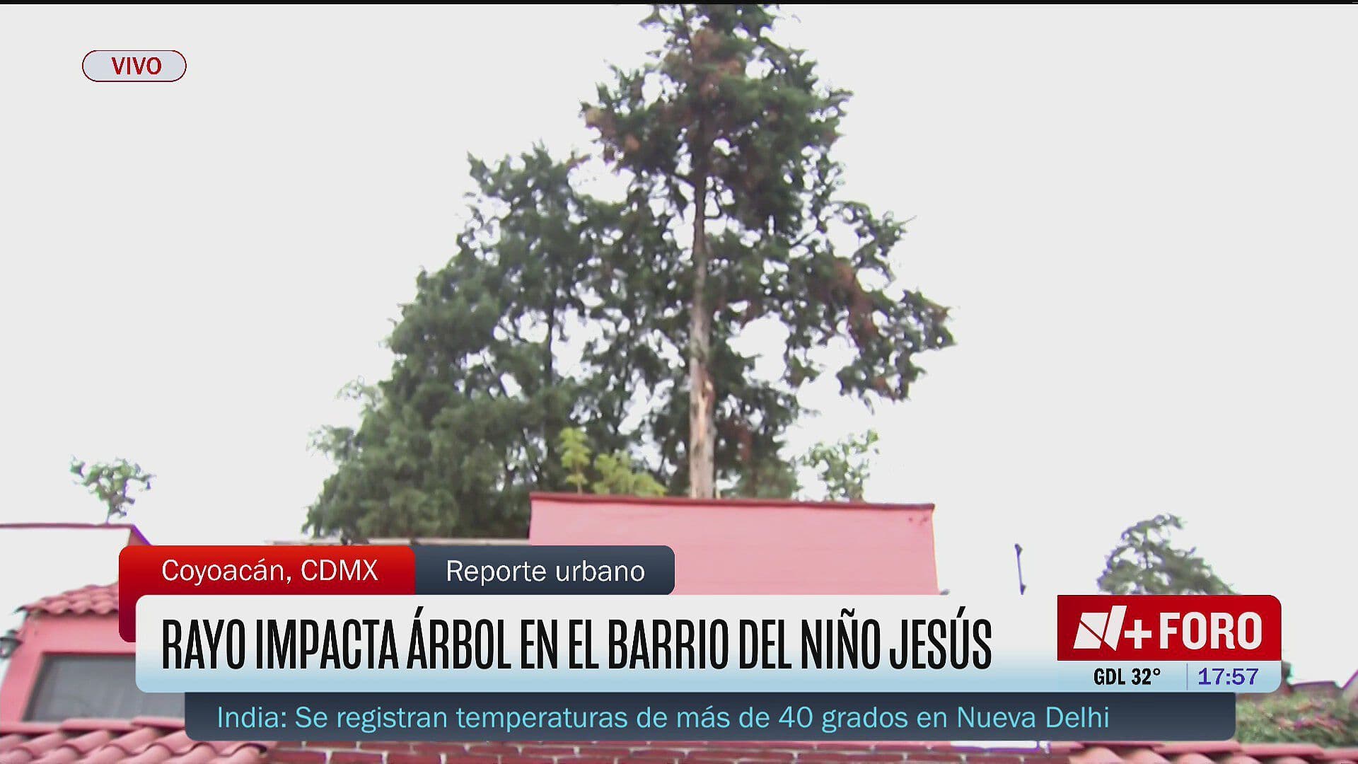 Rayo Cae sobre Árbol en Coyoacán, CDMX, Vecinos Reportan Daños Materiales