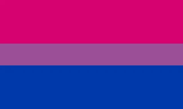 Bandera Bisexual