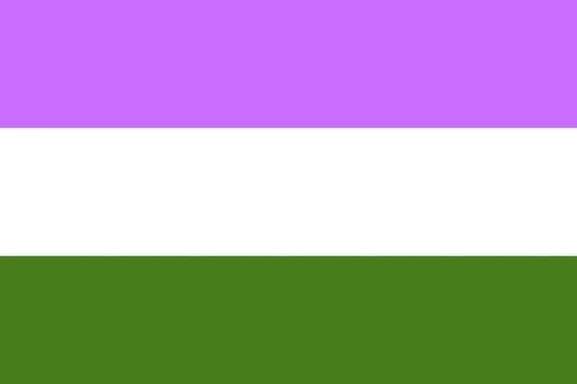 Bandera Queer