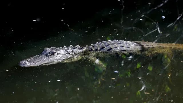 Foto: Reuters.