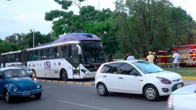 El hecho fue captado en video. Foto: N+