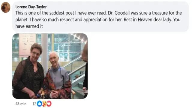 Jane Goodall fue despedida.