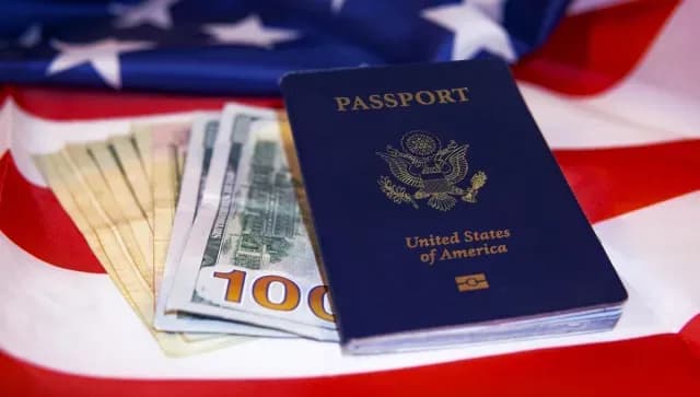 Visa U, Qué Es